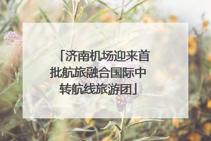 济南机场迎来首批航旅融合国际中转航线旅游团