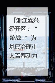 浙江嘉兴经开区：“统战+”为基层治理注入青春动力