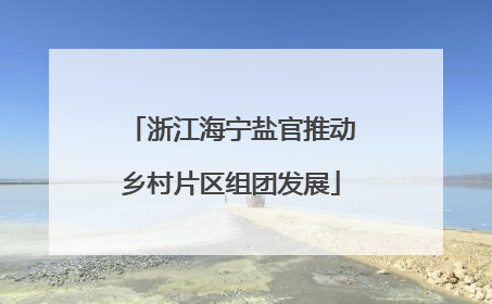 浙江海宁盐官推动乡村片区组团发展
