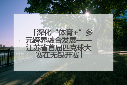 深化“体育+”多元跨界融合发展——江苏省首届匹克球大赛在无锡开赛
