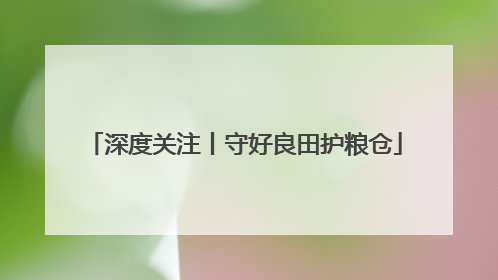 深度关注丨守好良田护粮仓