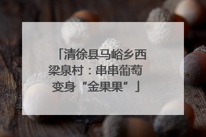 清徐县马峪乡西梁泉村：串串葡萄变身“金果果”