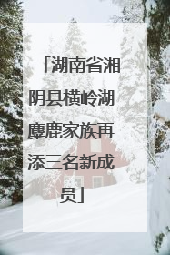 湖南省湘阴县横岭湖麋鹿家族再添三名新成员