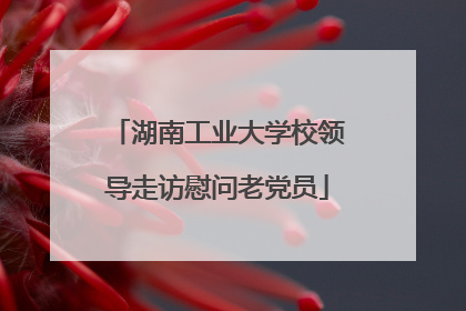 湖南工业大学校领导走访慰问老党员