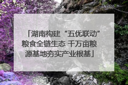 湖南构建“五优联动”粮食全链生态 千万亩粮源基地夯实产业根基