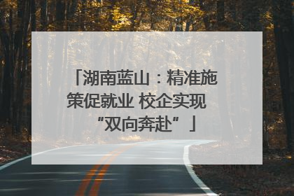 湖南蓝山：精准施策促就业 校企实现“双向奔赴”