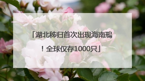 湖北秭归首次出现海南鳽！全球仅存1000只