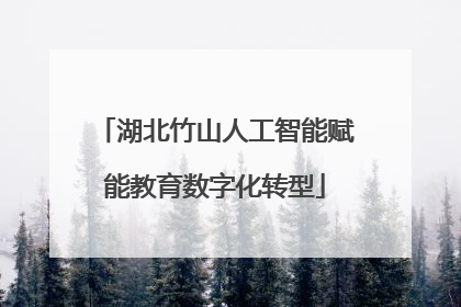 湖北竹山人工智能赋能教育数字化转型