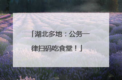 湖北多地：公务一律扫码吃食堂！