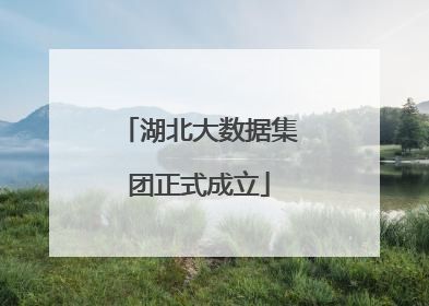湖北大数据集团正式成立