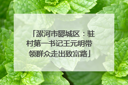漯河市郾城区：驻村第一书记王元明带领群众走出致富路
