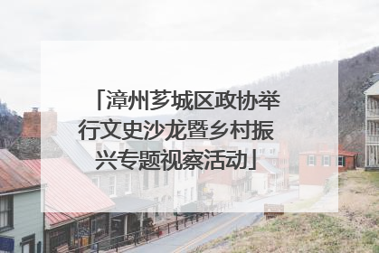 漳州芗城区政协举行文史沙龙暨乡村振兴专题视察活动