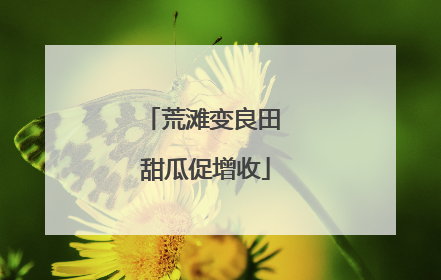 荒滩变良田 甜瓜促增收