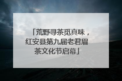 荒野寻茶觅真味，红安县第九届老君眉茶文化节启幕