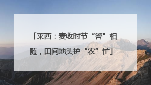 莱西：麦收时节“警”相随，田间地头护“农”忙