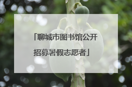 聊城市图书馆公开招募暑假志愿者