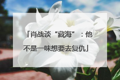 肖战谈“藏海”：他不是一味想要去复仇