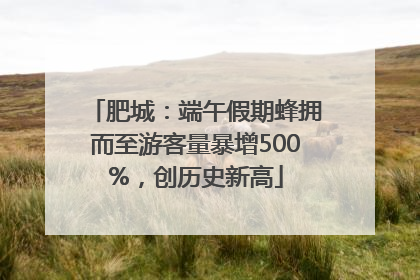 肥城：端午假期蜂拥而至游客量暴增500%，创历史新高