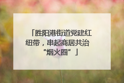 胜阳港街道党建红纽带，串起商居共治 “烟火圈”