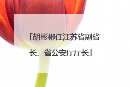 胡彬郴任江苏省副省长、省公安厅厅长