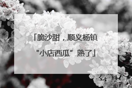脆沙甜，顺义杨镇“小店西瓜”熟了