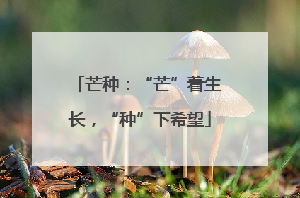 芒种：“芒”着生长，“种”下希望