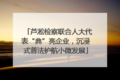 芦淞检察联合人大代表“典”亮企业，沉浸式普法护航小微发展