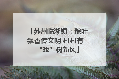 苏州临湖镇：粽叶飘香传文明 村村有“戏”树新风