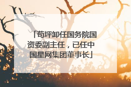 苟坪卸任国务院国资委副主任，已任中国星网集团董事长