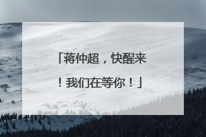 蒋仲超，快醒来！我们在等你！