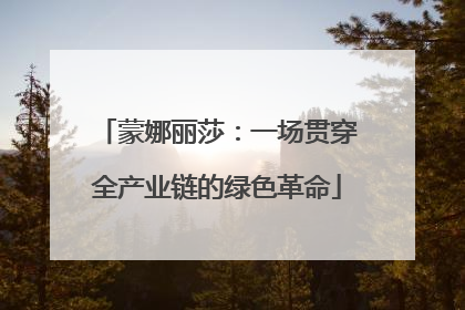 蒙娜丽莎：一场贯穿全产业链的绿色革命