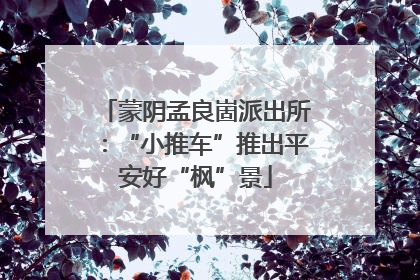 蒙阴孟良崮派出所：“小推车”推出平安好“枫”景
