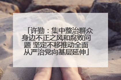许勤：集中整治群众身边不正之风和腐败问题 坚定不移推动全面从严治党向基层延伸