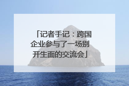记者手记：跨国企业参与了一场别开生面的交流会