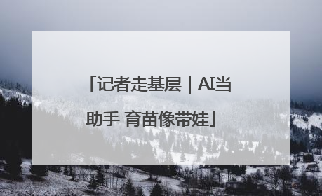 记者走基层｜AI当助手 育苗像带娃