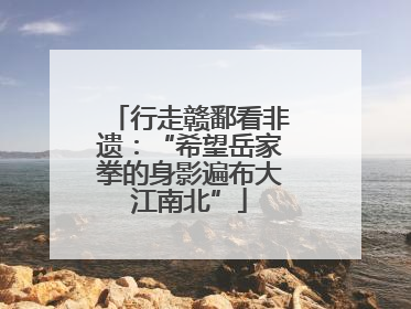 行走赣鄱看非遗：“希望岳家拳的身影遍布大江南北”