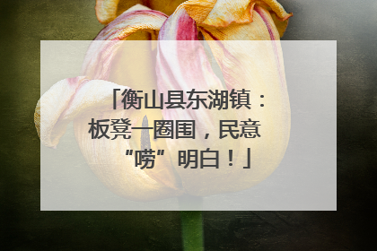 衡山县东湖镇：板凳一圈围，民意“唠”明白！