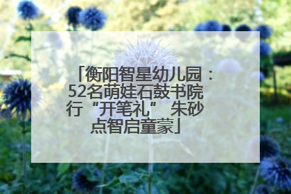 衡阳智星幼儿园：52名萌娃石鼓书院行“开笔礼” 朱砂点智启童蒙