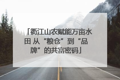 衢江山农赋能万亩水田 从“粮仓”到“品牌”的共富密码