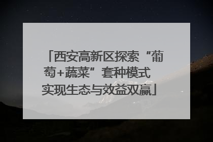 西安高新区探索“葡萄+蔬菜”套种模式 实现生态与效益双赢