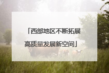 西部地区不断拓展高质量发展新空间