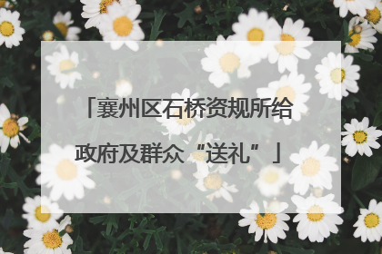 襄州区石桥资规所给政府及群众“送礼”