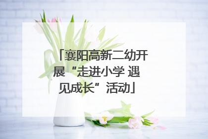 襄阳高新二幼开展“走进小学 遇见成长”活动