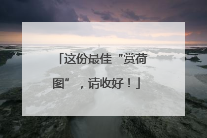 这份最佳“赏荷图”，请收好！