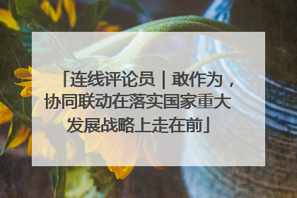 连线评论员｜敢作为，协同联动在落实国家重大发展战略上走在前