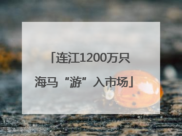 连江1200万只海马“游”入市场