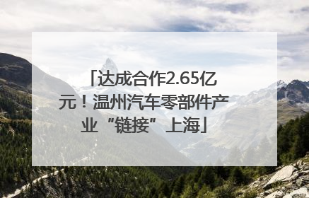 达成合作2.65亿元！温州汽车零部件产业“链接”上海