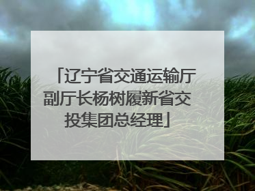 辽宁省交通运输厅副厅长杨树履新省交投集团总经理