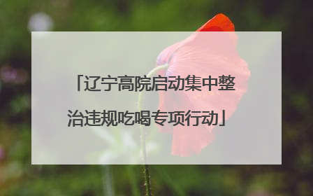 辽宁高院启动集中整治违规吃喝专项行动