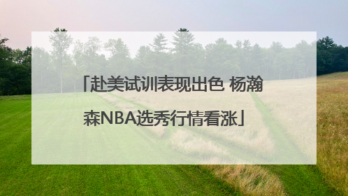 赴美试训表现出色 杨瀚森NBA选秀行情看涨